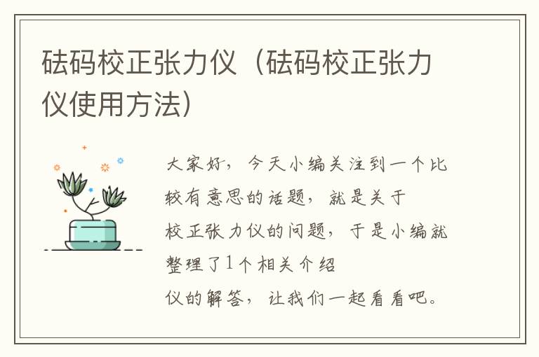 砝码校正张力仪（砝码校正张力仪使用方法）