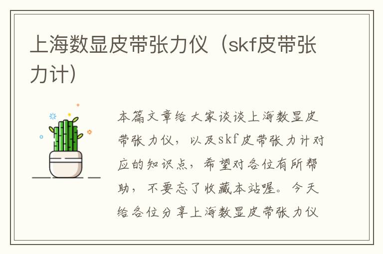 上海数显皮带张力仪（skf皮带张力计）